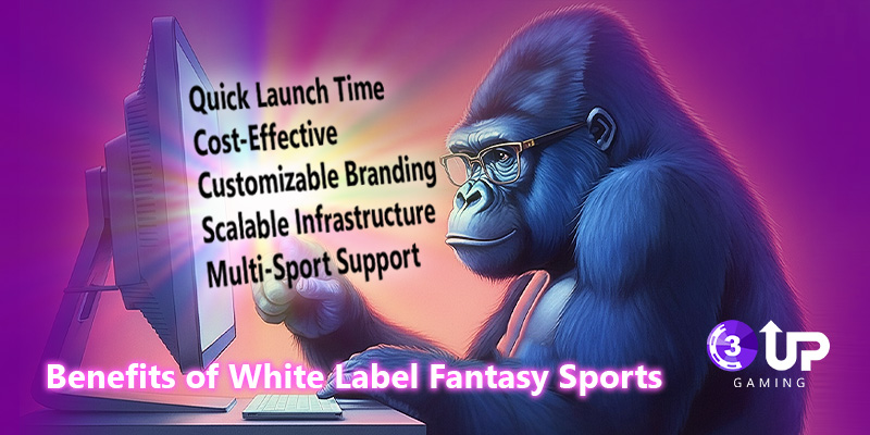 White Label Fantasy Sports: Build Your Own Fantasy Sports Platform