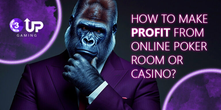 How to Make Profit from Online Poker Room or Casino? Common Ways