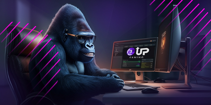 How to Choose the Best Poker Software for Your Online Poker Room