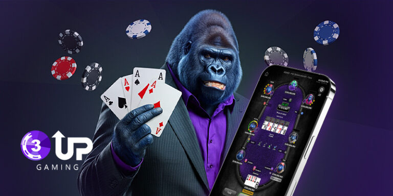 Buy Poker Source Code: A Complete Guide to Building Your Poker Platform